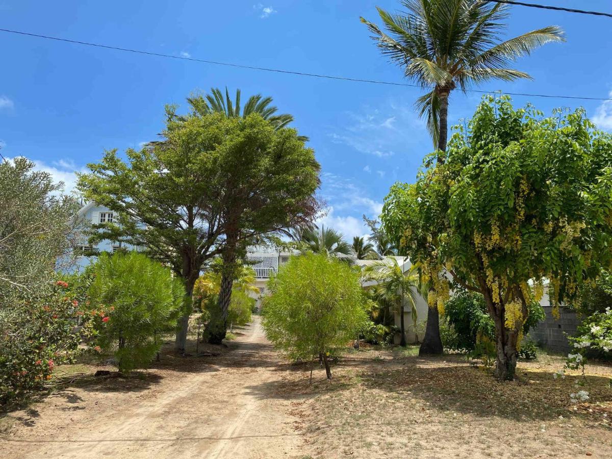 Villa Coco Des Sables Acces Direct Au Lagon La Saline Le Bains Eksteriør bilde